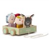 Louis pull along picnic car & shape sorter